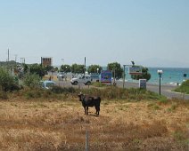 Kos 2006
