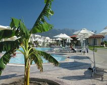 Kos 2006