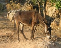 Rhodos 2003